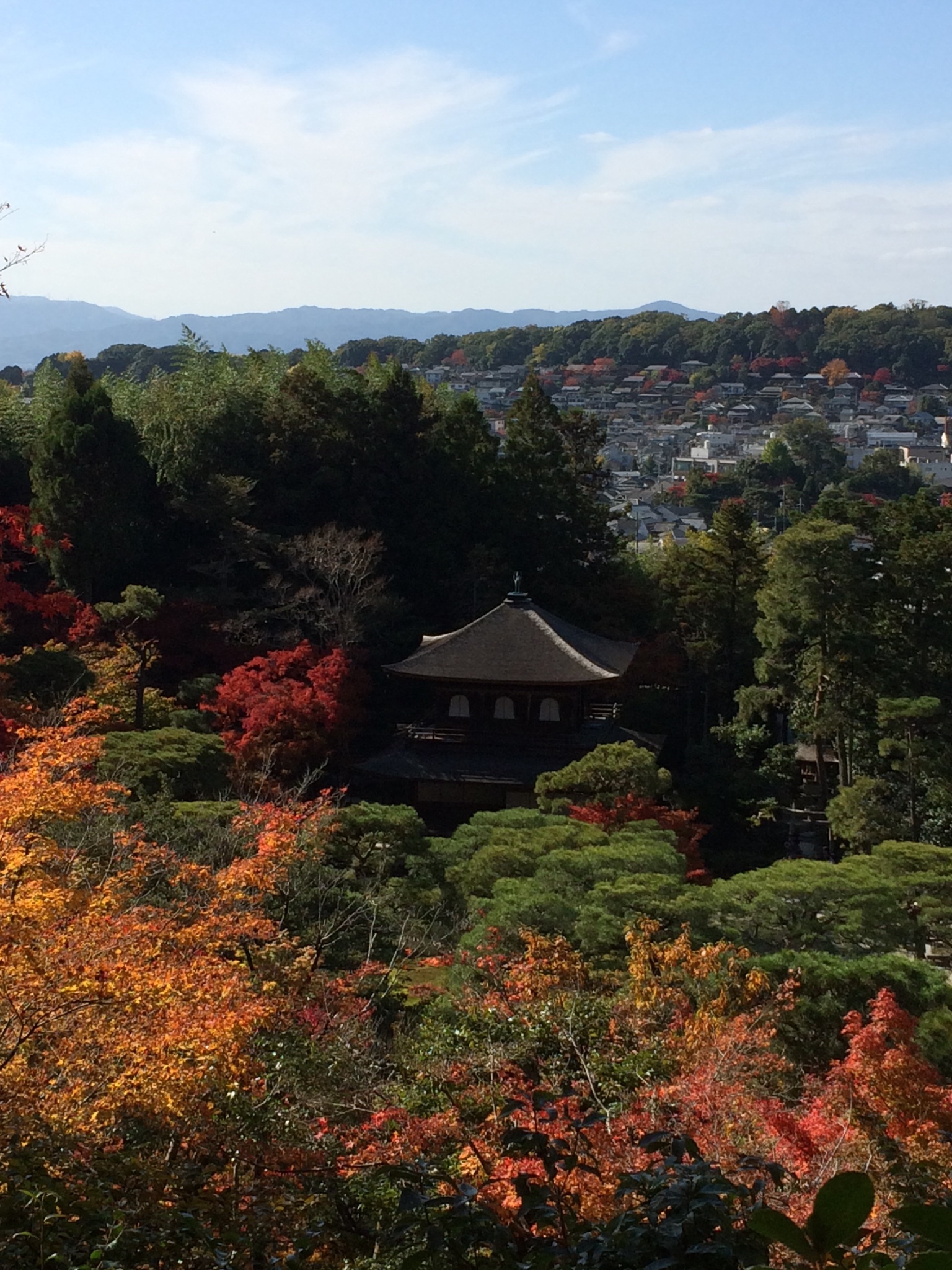 京都自助遊攻略