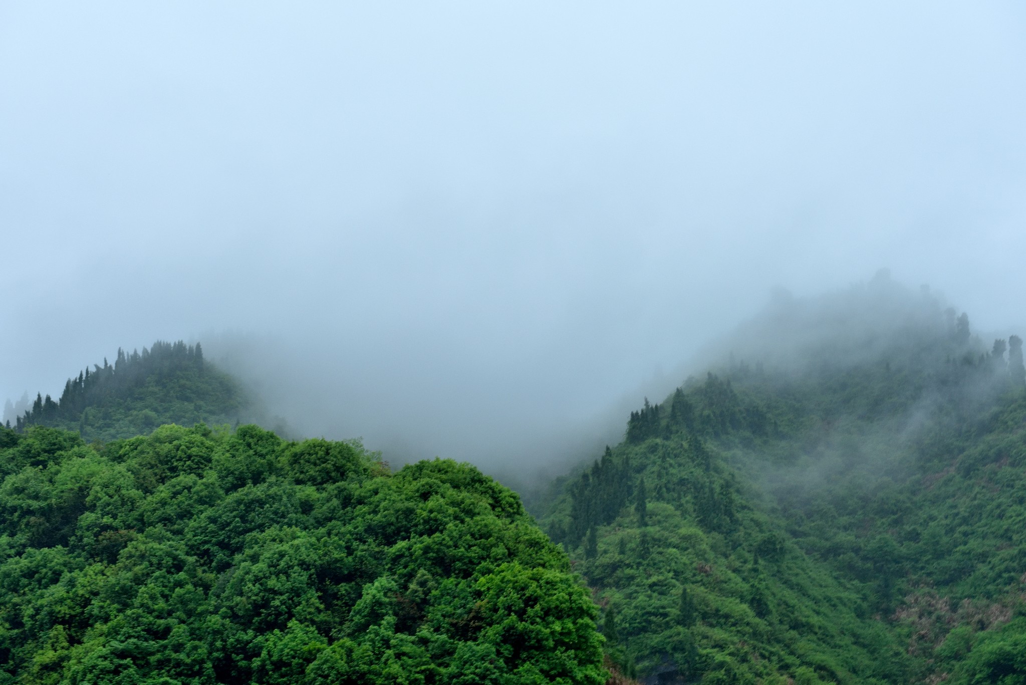 千島湖自助遊攻略