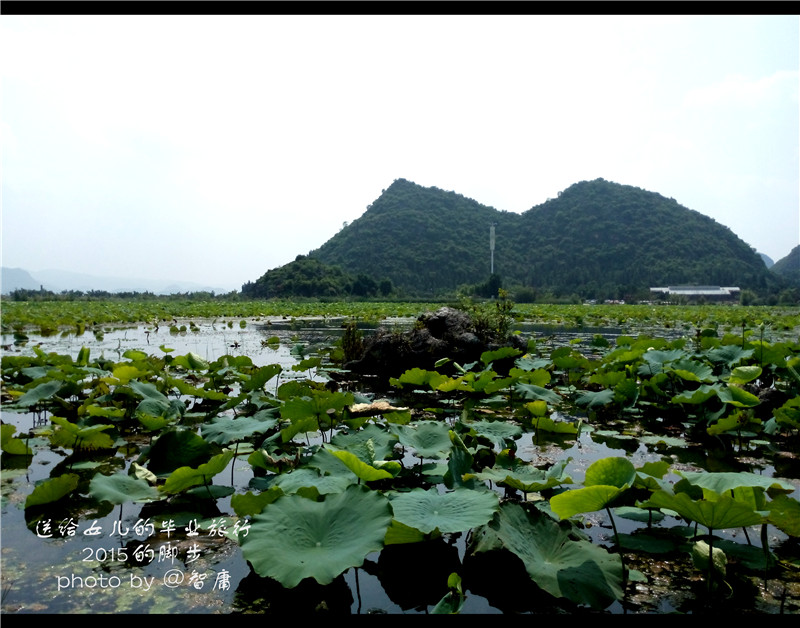 去买一桶泡面算贡献gdp吗_吃一桶泡面增重多少(2)