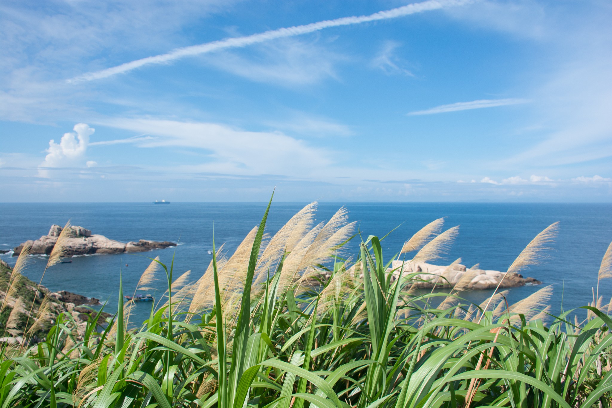 风从海面吹过来简谱_起风了简谱(3)