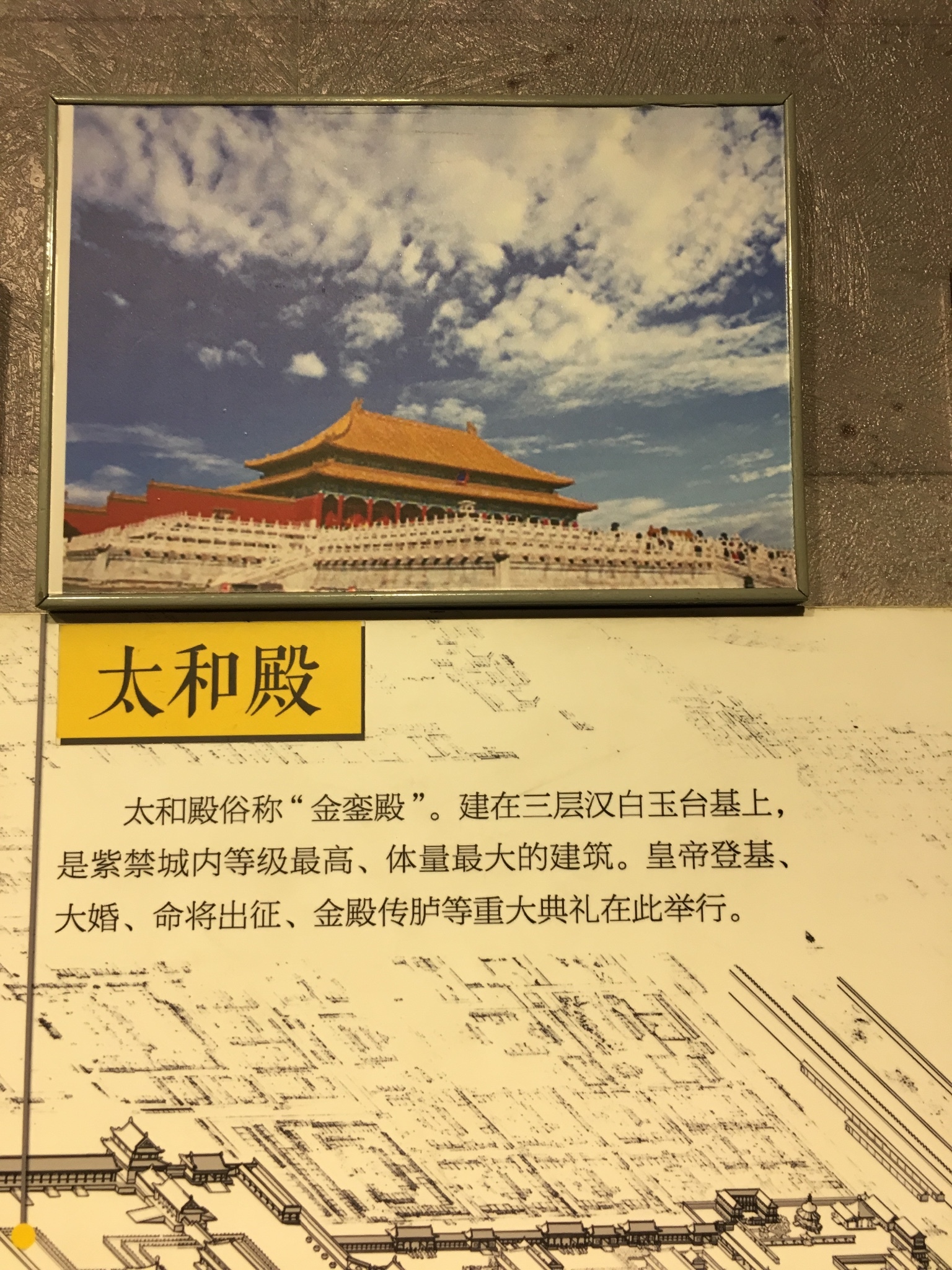 什么绽放四字成语_半三足什么的四字成语(2)